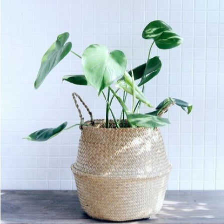 Wicker Foldable Planter Basket - SAVOUR DECORE