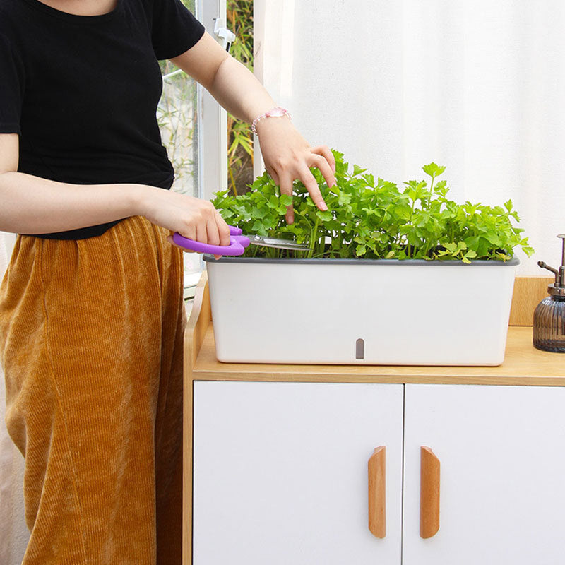 Self-Watering Planter Pots - SAVOUR DECORE
