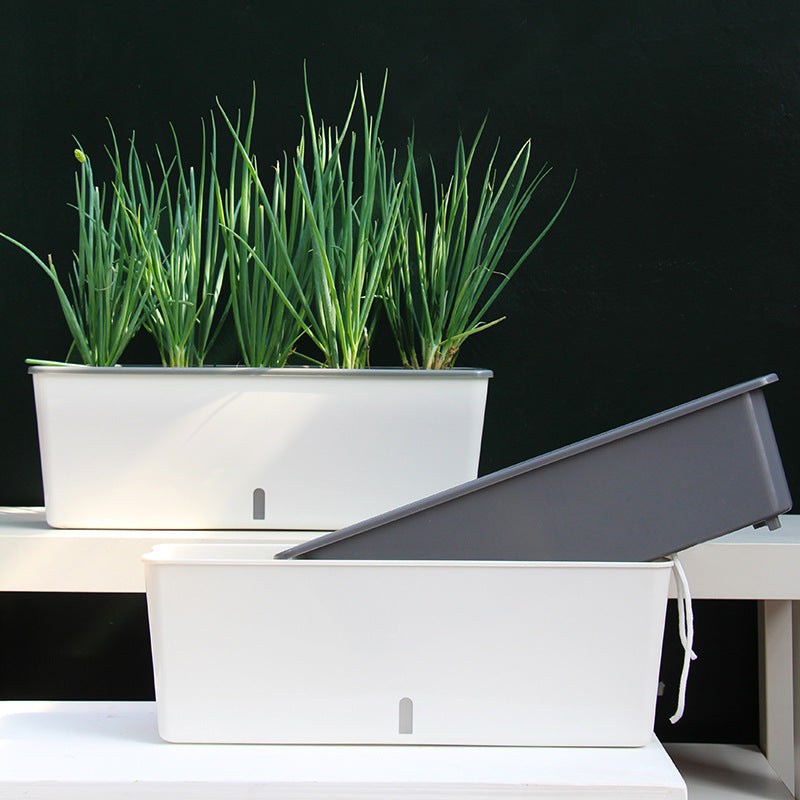 Self-Watering Planter Pots - SAVOUR DECORE