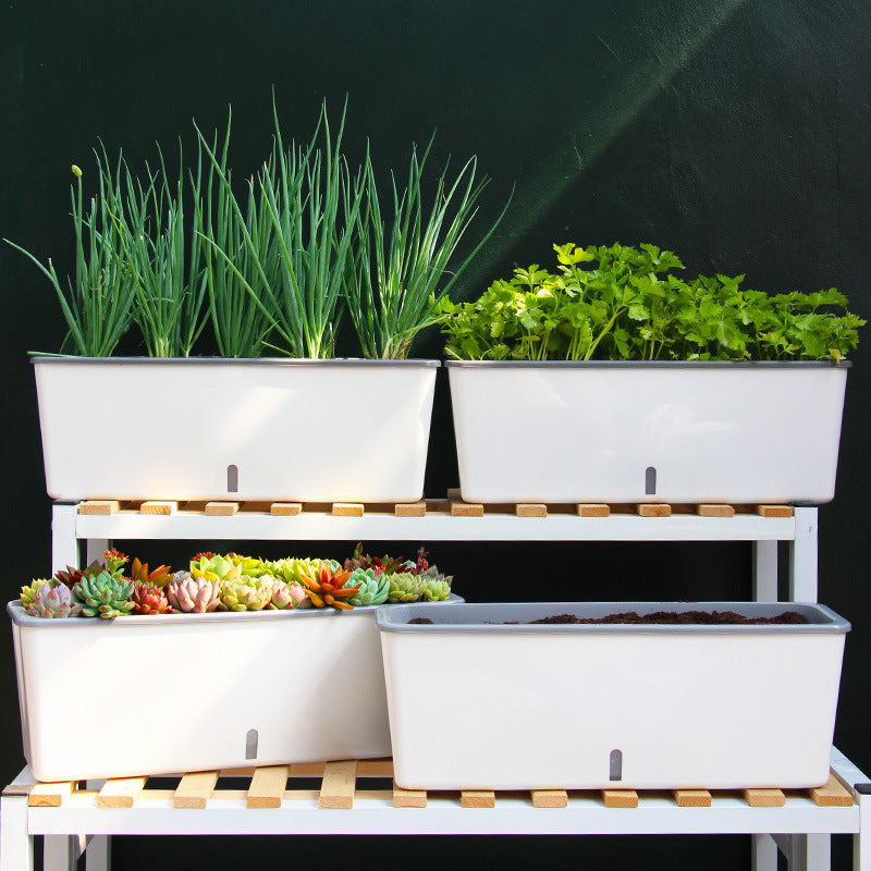 Self-Watering Planter Pots - SAVOUR DECORE
