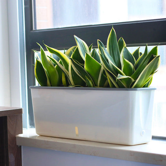 Self-Watering Planter Pots - SAVOUR DECORE