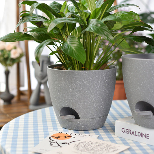 Household Round Plastic No-Watering Removable Planter - SAVOUR DECORE