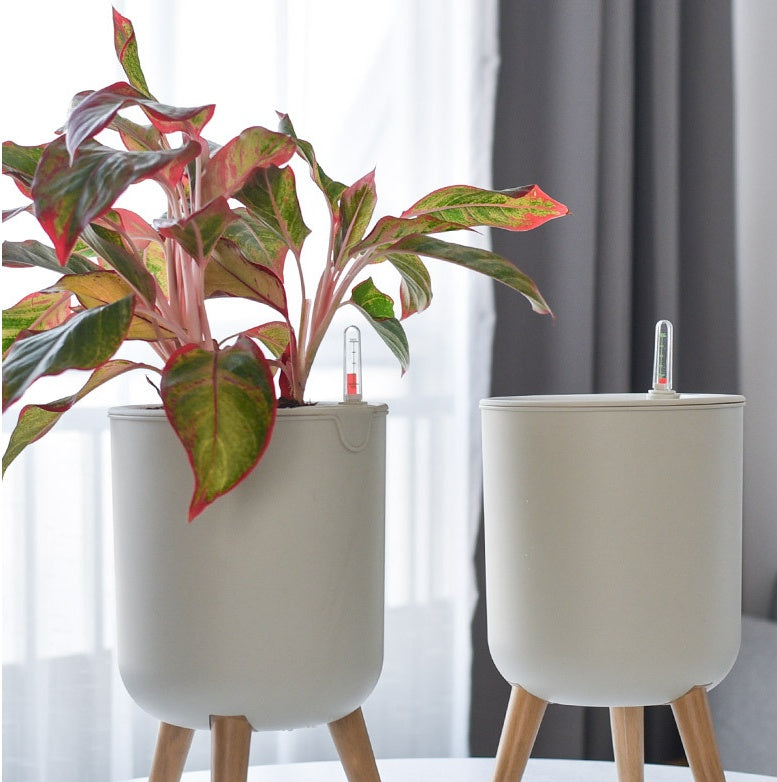 Home Lazy Self-absorbing Greenery Tree Resin Pot - SAVOUR DECORE